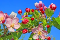 Sinh ngày Âm lịch này nỗ lực hết mình, sự nghiệp sớm thành công