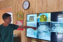 Nuôi gà tự động hóa, nông dân rủng rỉnh vài trăm triệu/lứa