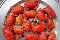 Đặc sản tên kỳ cục, được ví như cua hoàng đế, giá 250.000 đồng/kg