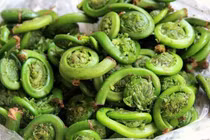 Rau trường thọ trồng 1 lần hái được cả năm