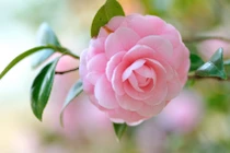 3 con giáp danh lộc như ý, giữa tháng 3 hốt vàng hứng bạc