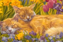 4 ngày cuối tháng 9 âm: 3 con giáp cá chép hoá Rồng, số vượng