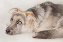 Từ giờ tới hết năm 2022: 3 con giáp rung đùi hứng lộc, giàu bất chấp 