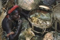 Bí ẩn bộ lạc sống biệt lập gần 60.000 năm ngoài Ấn Độ Dương 