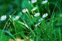 Người có trí tuệ cảm xúc cao không đến thăm nhà ba người này