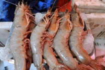 Đi chợ gặp 3 loại tôm này nhớ tránh xa, đừng ham rẻ 