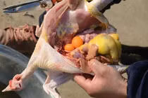 Mổ gà thấy trong bụng có một cục mỡ, nên ăn hay vứt?