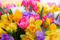 Cuối tháng 5/2022, 3 con giáp ra ngõ thấy vàng, làm đâu thắng đó 