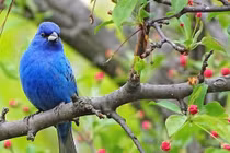 Ai sinh tháng Âm lịch này cuối năm 2022 đón tốt lành, ấm no