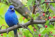 Ai sinh tháng Âm lịch này cuối năm 2022 đón tốt lành, ấm no