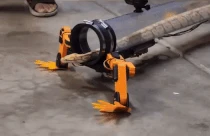 Thiết bị kỳ lạ biến rắn thành thằn lằn