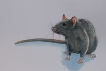 Tháng 9 hung tinh đeo bám không rời: 4 tuổi tiền mất tật mang