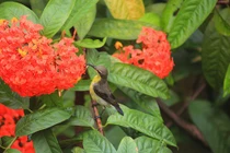 Năm 2022, 4 con giáp trải qua mùa hè sung túc nhất