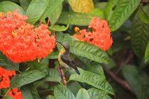 Năm 2022, 4 con giáp trải qua mùa hè sung túc nhất