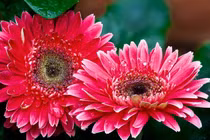 Sinh vào 6 ngày Âm lịch này, sau 30 tuổi tiền đếm mỏi tay