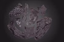 Phát hiện da của sinh vật sống cách đây 290 triệu năm 