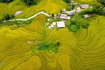 Đến Xà Phìn ngắm lúa vàng, thăm những mái nhà phủ rêu xanh