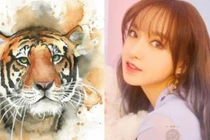 Số hồng nhan: 3 con giáp nữ xinh đẹp nhưng cả đời lận đận