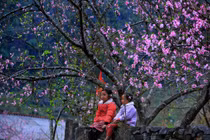 Vẻ đẹp của Hà Giang qua bốn mùa