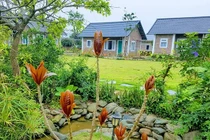 Lương hưu cao, chồng vẫn đòi đi làm bảo vệ và bí mật sốc