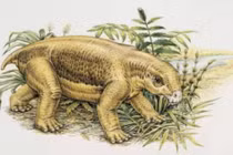 Trước khủng long, loài nào là lãnh chúa cai trị trái đất? 