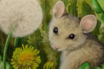 Tháng 11 dương ai đen cứ đen, 4 tuổi này giàu sang bất chấp