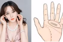 3 đường chỉ tay phú quý, phụ nữ có 1/3 là đủ nắm tiền tỷ