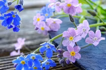 3 con giáp số sướng Trời ban, bắt trúng cơ hội, sự nghiệp phất 