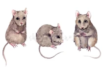 Vận hạn qua đi, top 3 con giáp cầu được ước thấy