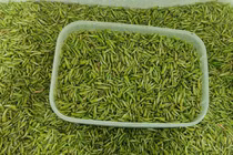 Bất ngờ loại côn trùng nhiều người xua đuổi lại có giá nửa triệu/kg