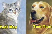 5 ngày cuối tháng 10/2022: 3 con giáp no nê phúc lộc