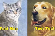 5 ngày cuối tháng 10/2022: 3 con giáp no nê phúc lộc