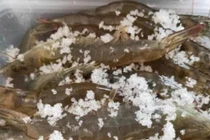 3 mẹo bảo quản tôm tươi ăn cả năm, cách cuối không ai ngờ 