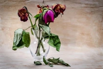 Tránh đặt 9 đồ vật này trong nhà kẻo rước vận xui 