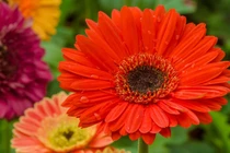 Trẻ có giờ sinh này may mắn đầy tay, trưởng thành vượng tài lộc