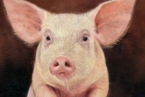 Quý Mão 2023 ai đen mặc ai, 5 tuổi không giàu sang cũng phú quý 