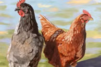 Đúng 0h ngày 9/9: 3 tuổi này số đỏ như son, làm ăn phất phát 