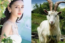 3 tuổi là cỗ máy in tiền năm 2023: Thích giả nghèo nhưng giàu sụ 