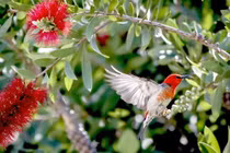 Sinh ngày Âm lịch này, cuối năm 2022 đón may mắn, nhận tin vui