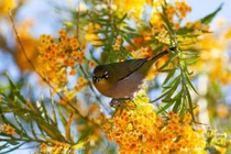 Giờ sinh của người trời ban may mắn, tình duyên viên mãn