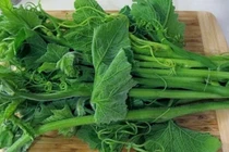 2 loại rau này có khả năng gây ung thư cao