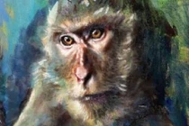 3 con giáp xui xẻo nhất tháng 8/2022, đề phòng tiểu nhân quấy phá 