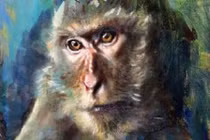 3 con giáp xui xẻo nhất tháng 8/2022, đề phòng tiểu nhân quấy phá 