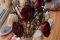 Không giữ 3 thứ này, phú quý kéo đến không ngừng nghỉ