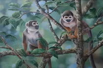 Cuối tuần này (21-22/1), 3 con giáp Thần Tài chiếu cố, ban đủ lộc trời