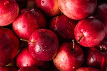 Thay đổi bất ngờ nếu bạn ăn mỗi ngày 1 quả táo