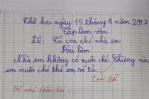 Những bài văn dù điểm 0, điểm 1 vẫn thu hút cả nghìn lượt like