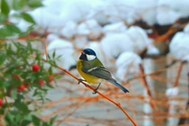 Sinh tháng Âm lịch này kiên định mục tiêu, nhất định thắng lợi