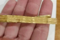 Dắt chó đi dạo, bé trai 12 tuổi tìm được “kho báu” cực quý giá