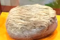 Lão nông nhặt được viên đá có "tóc dài bạc trắng" 